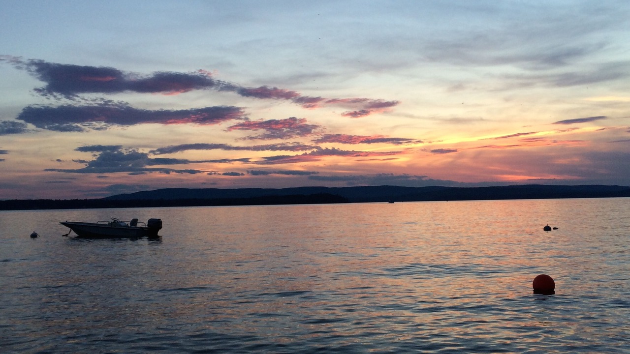 Photo of Others in Belgrade