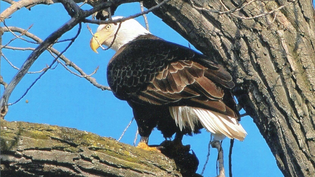 Photo of Others in Town of Richmond