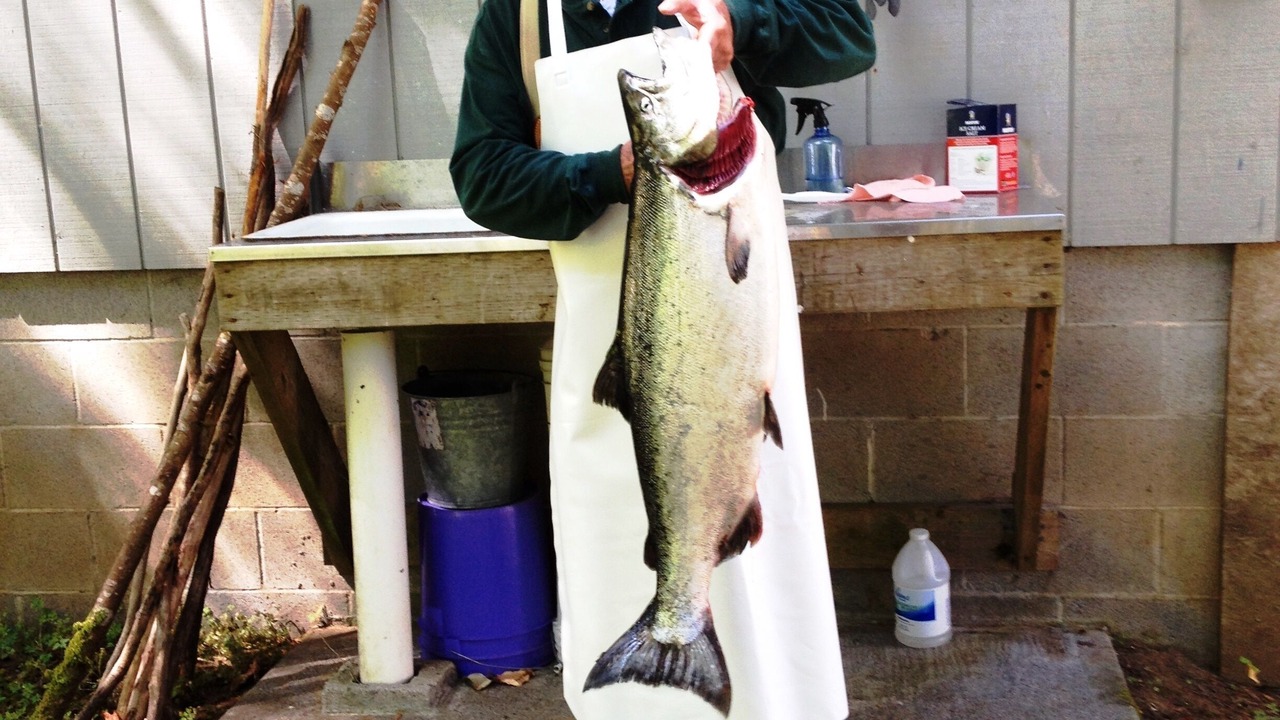 Photo of Others in Mapleton