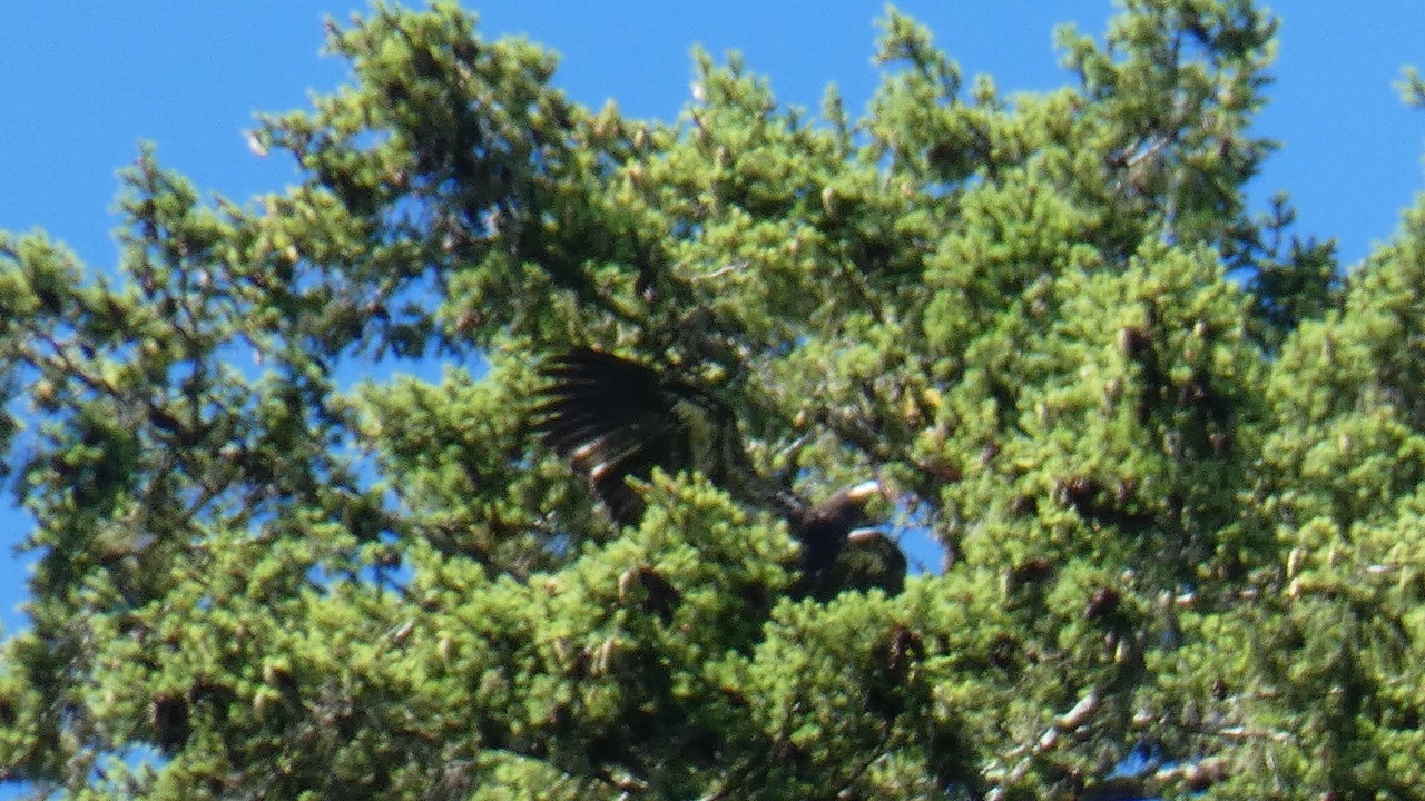 Photo of Others in Mapleton