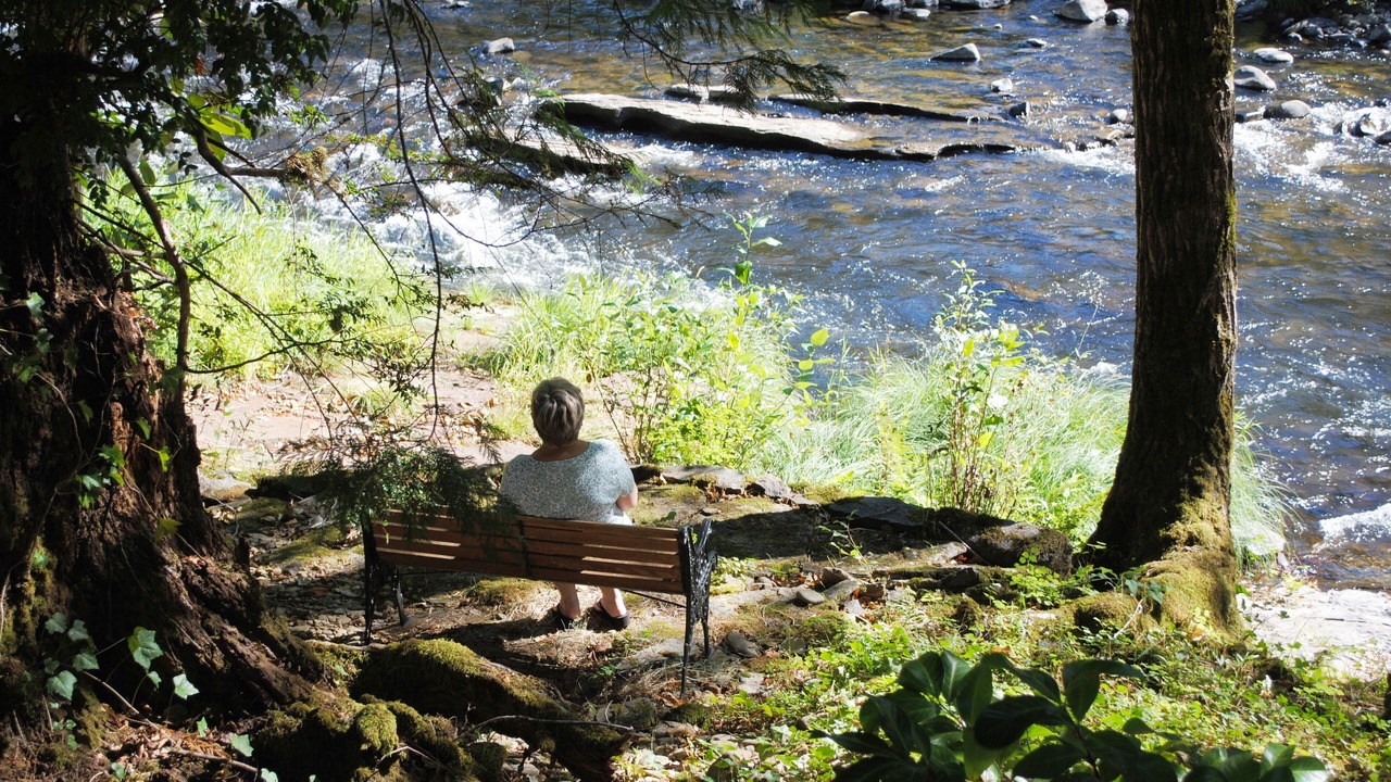 Photo of Others in Mapleton