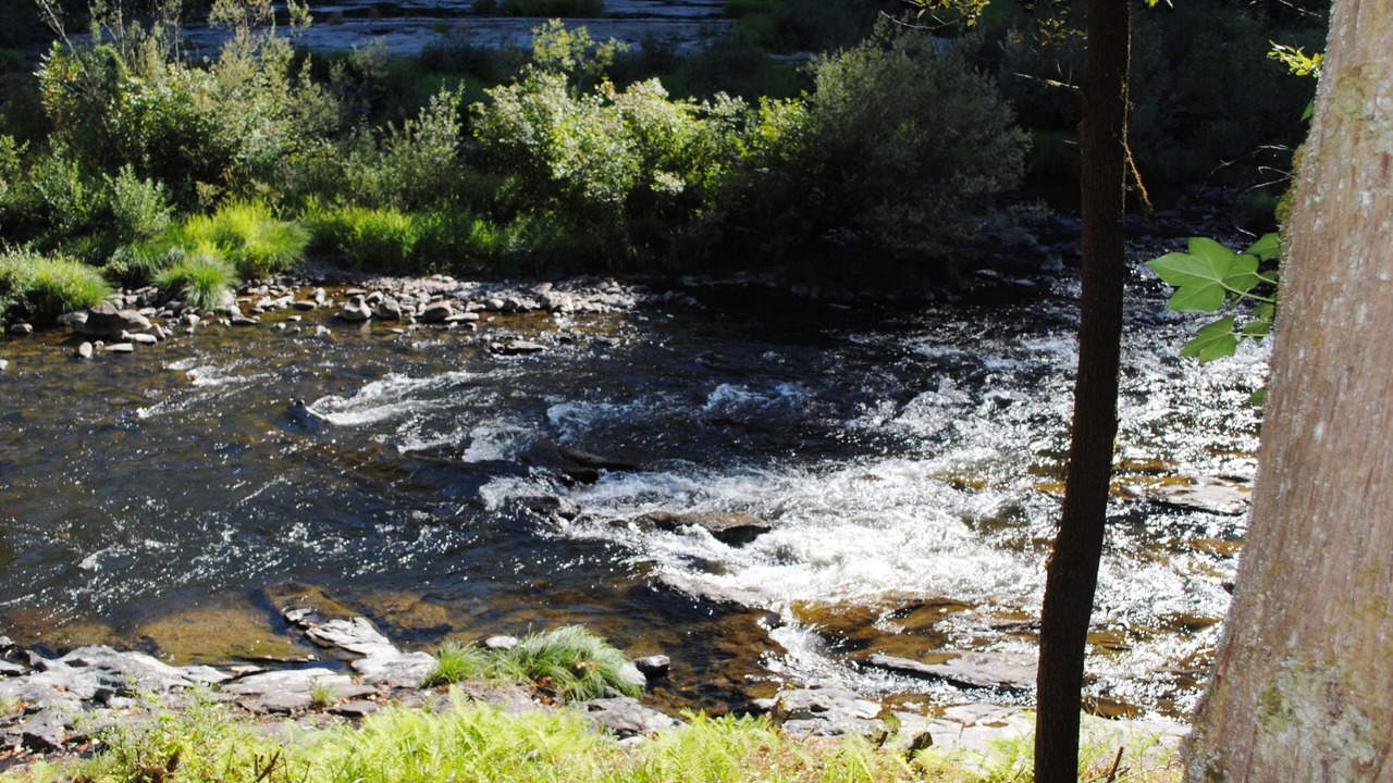 Photo of Others in Mapleton