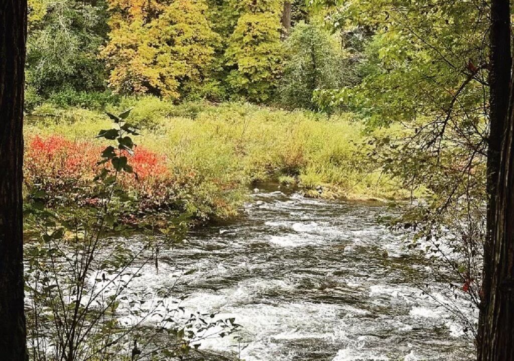 Photo of Others in Mapleton