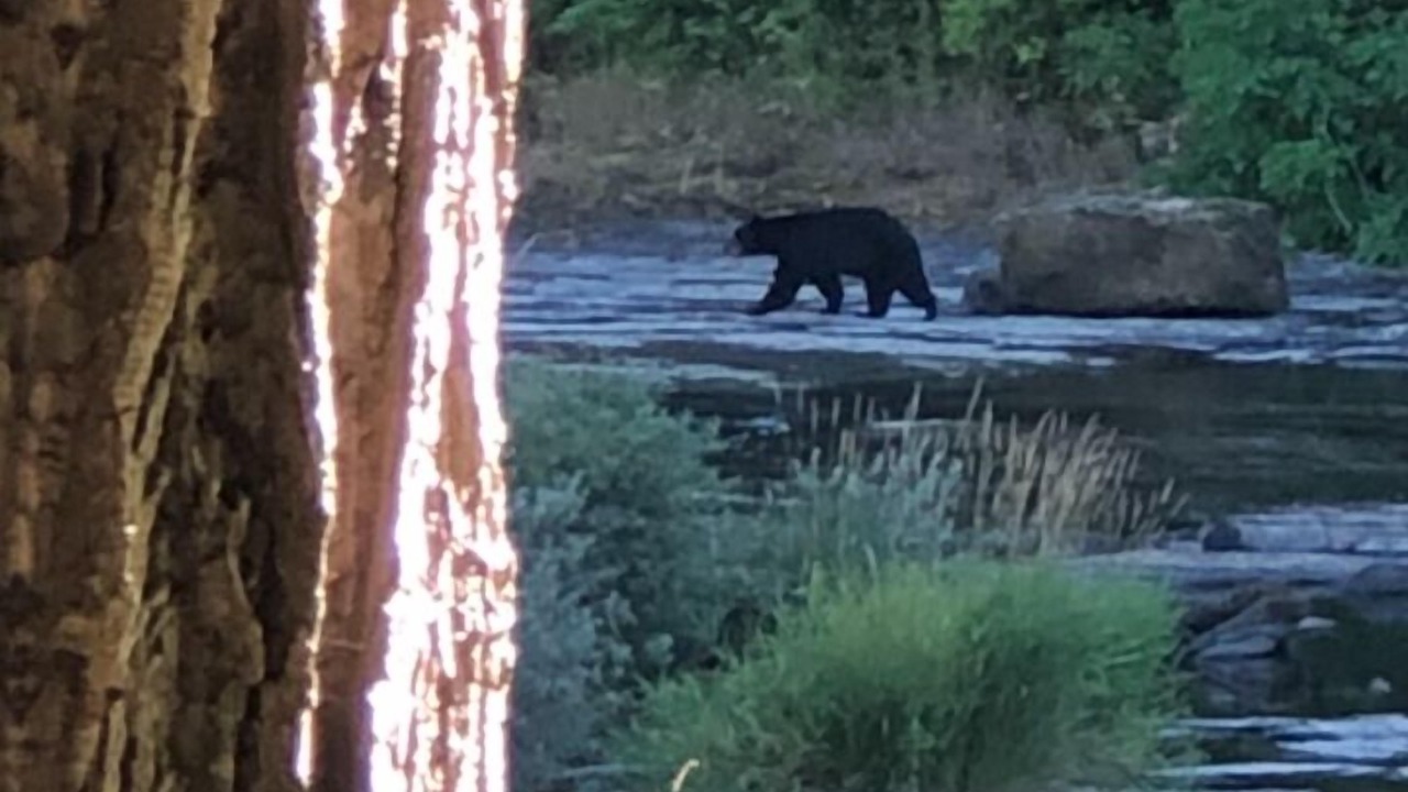 Photo of Others in Mapleton