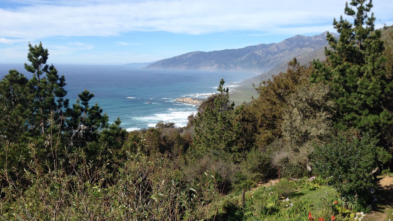 Photo of Bedroom in Big Sur