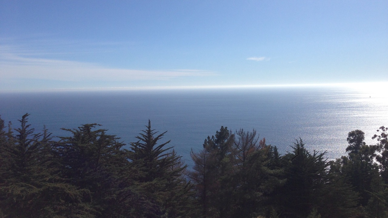Photo of Others in Big Sur