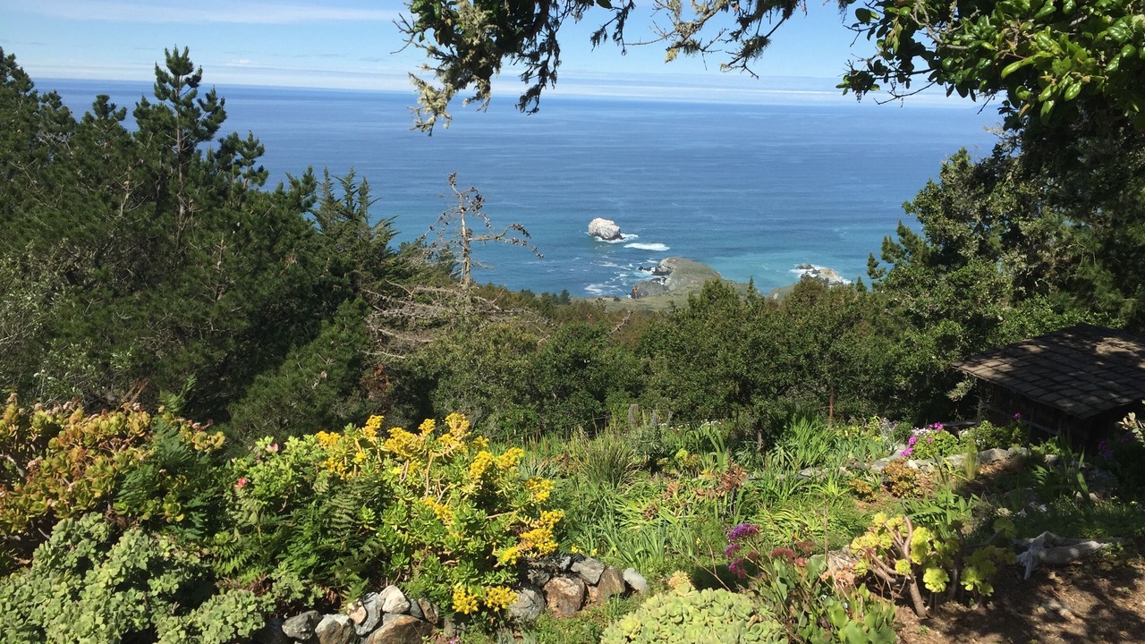 Photo of Outdoor in Big Sur