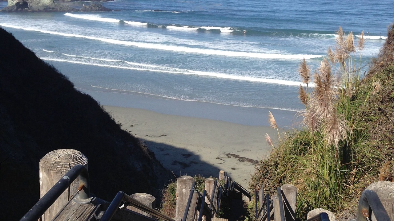 Photo of Others in Big Sur