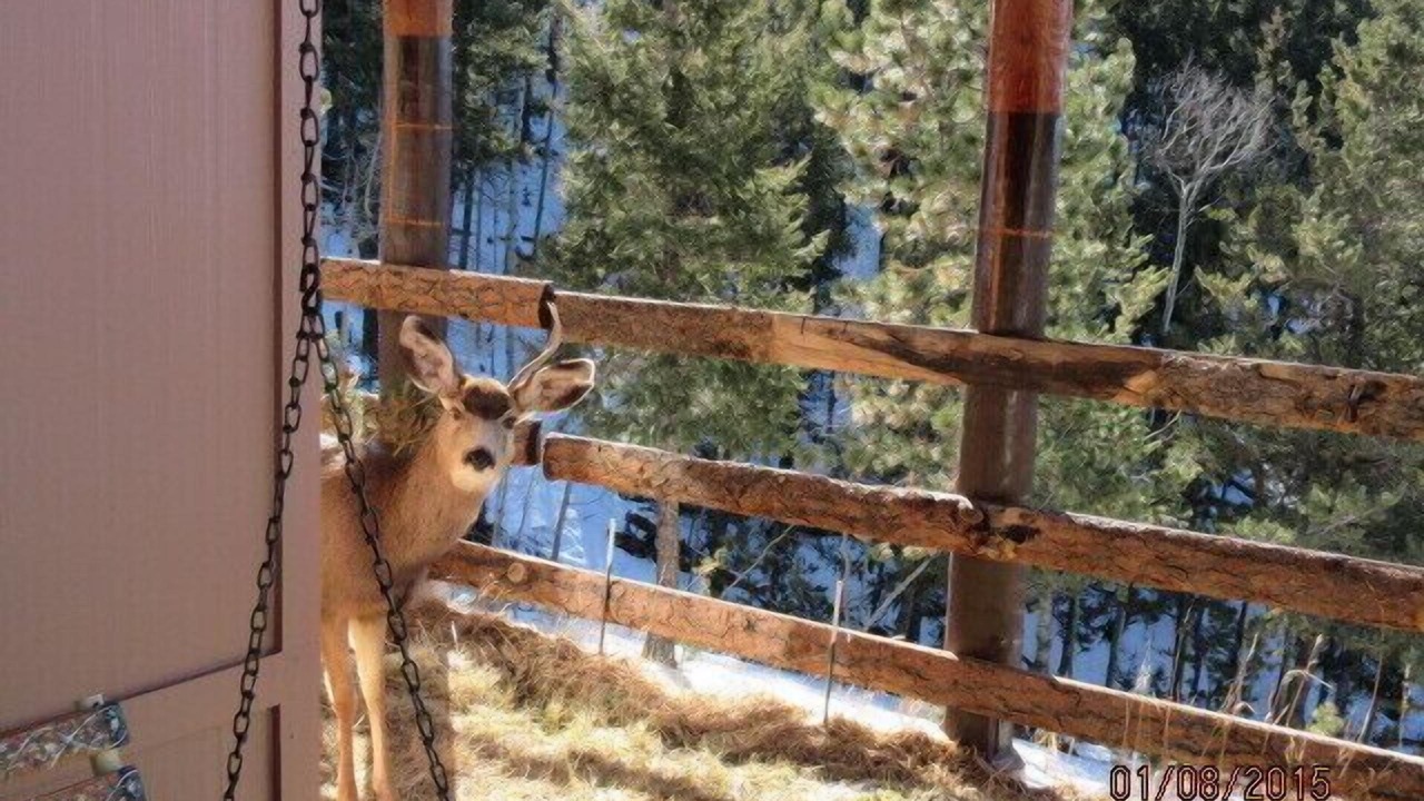 Photo of Others in Rainbow Valley