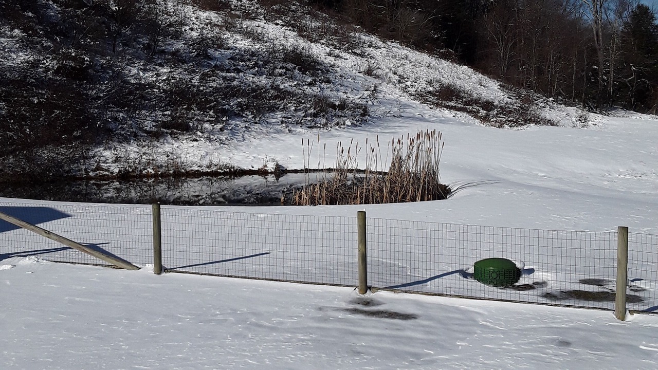 Photo of Outdoor in Aurora