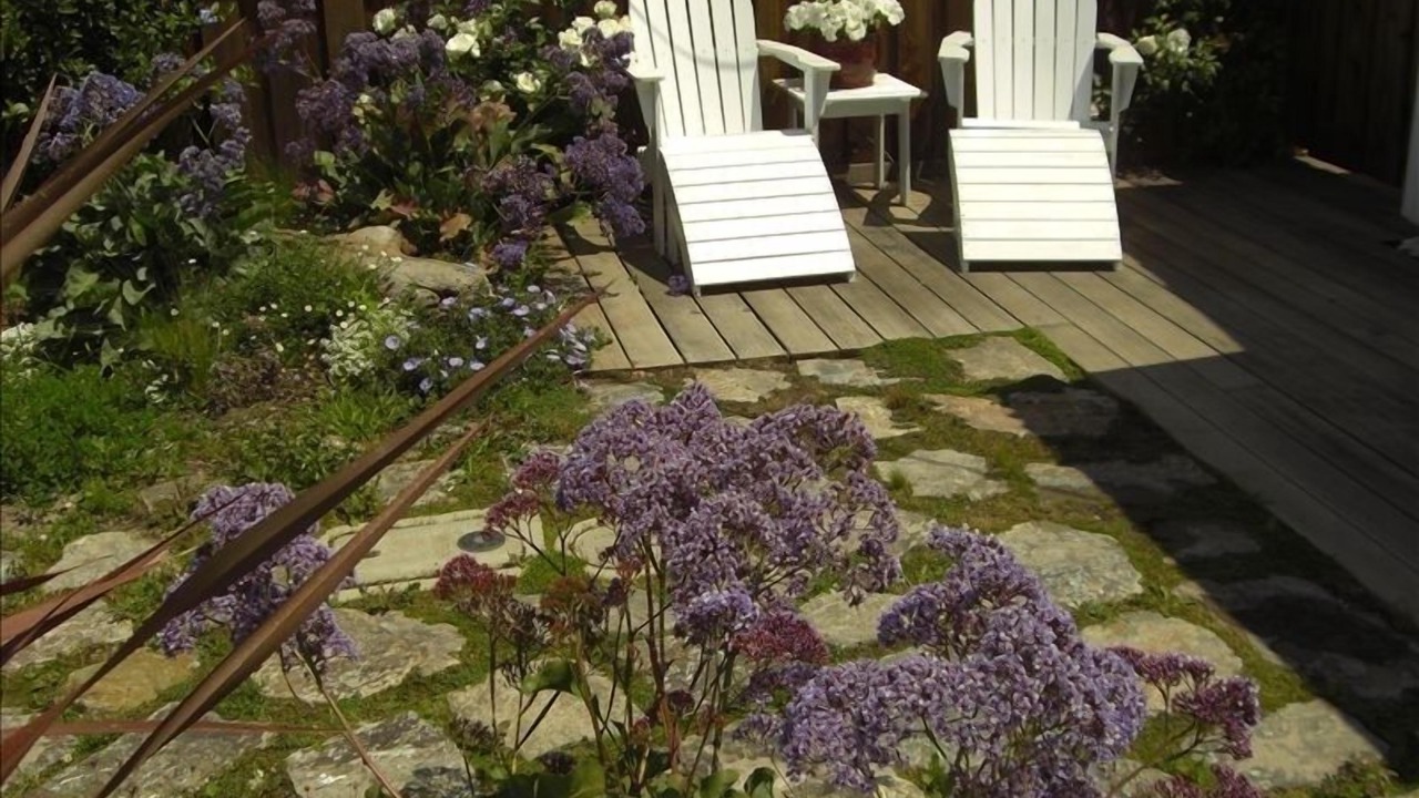 Photo of Others in Stinson Beach