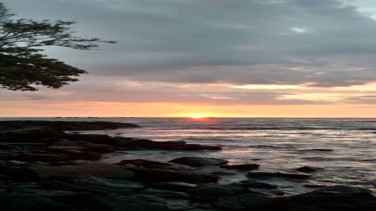 Photo of Others in Ocean View