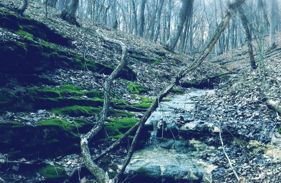 Photo of Outdoor in Columbia