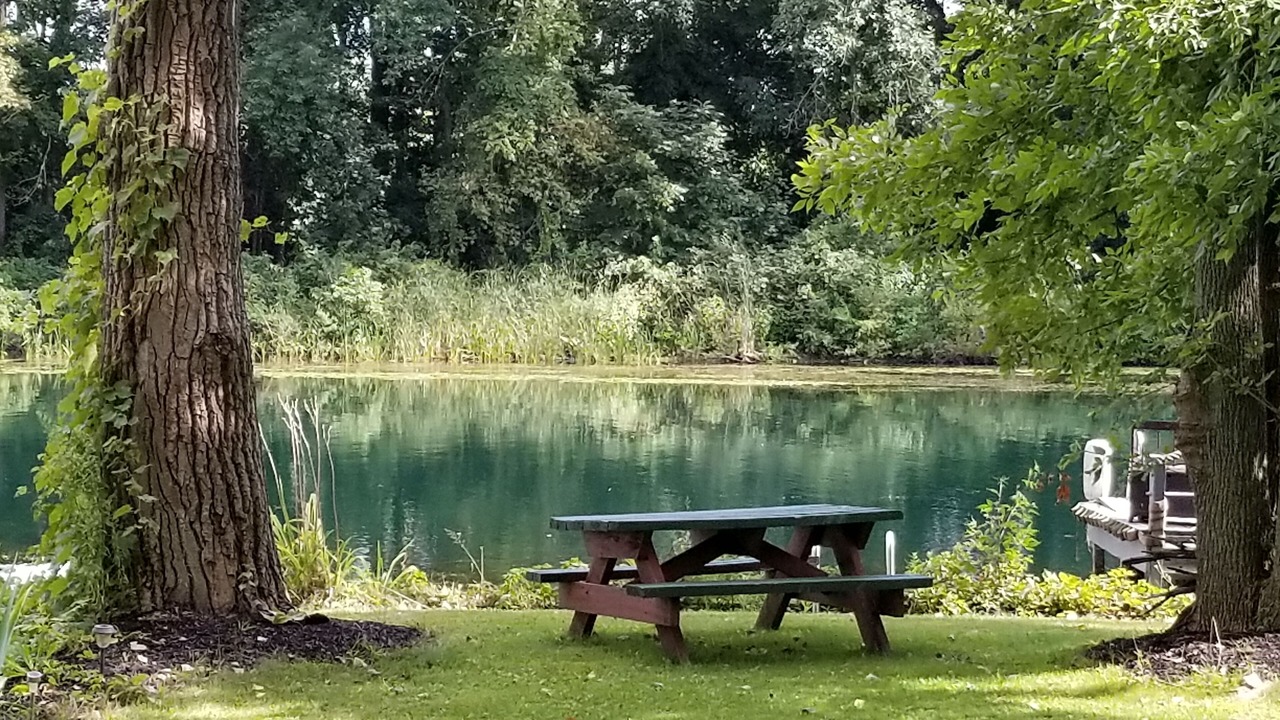 Photo of Outdoor in Waterloo