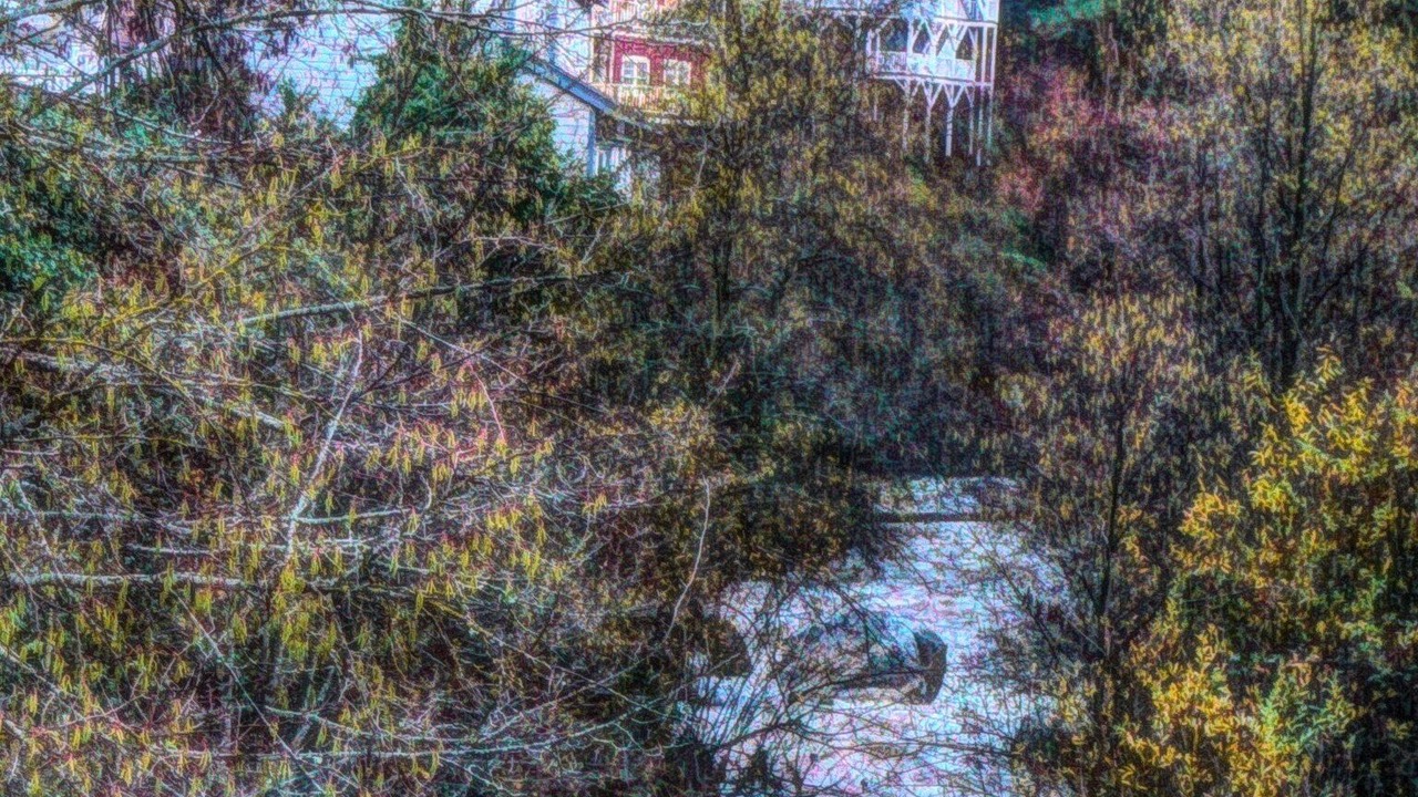 Photo of Others in Nevada City