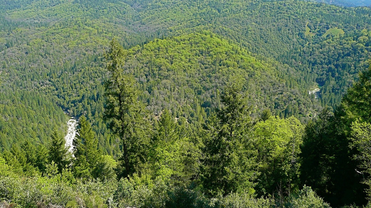 Photo of Others in Nevada City