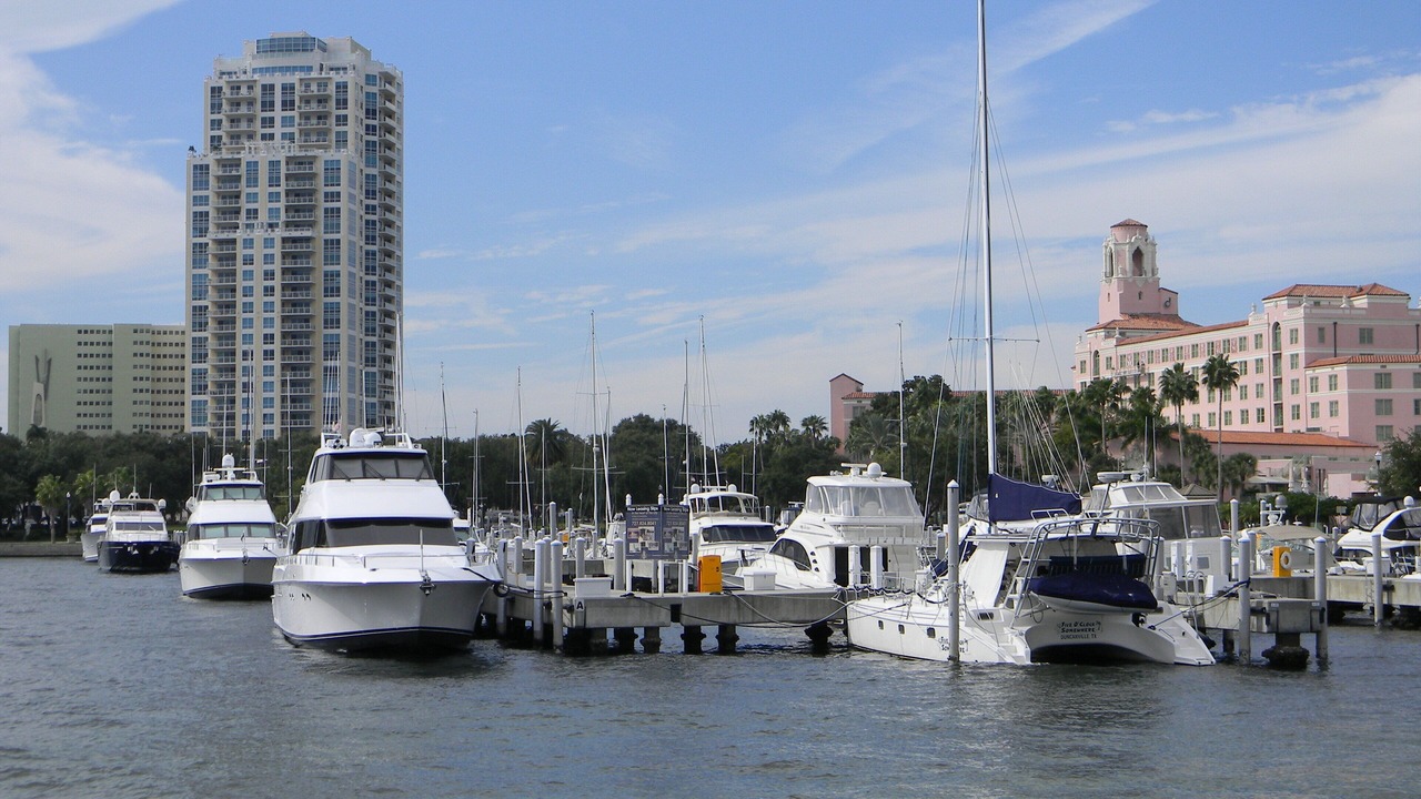 Photo of Others in St. Petersburg