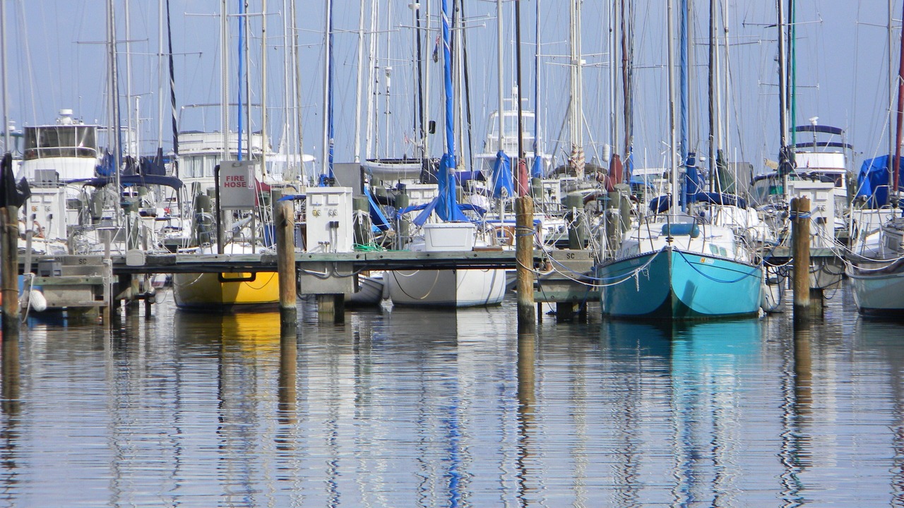 Photo of Others in St. Petersburg