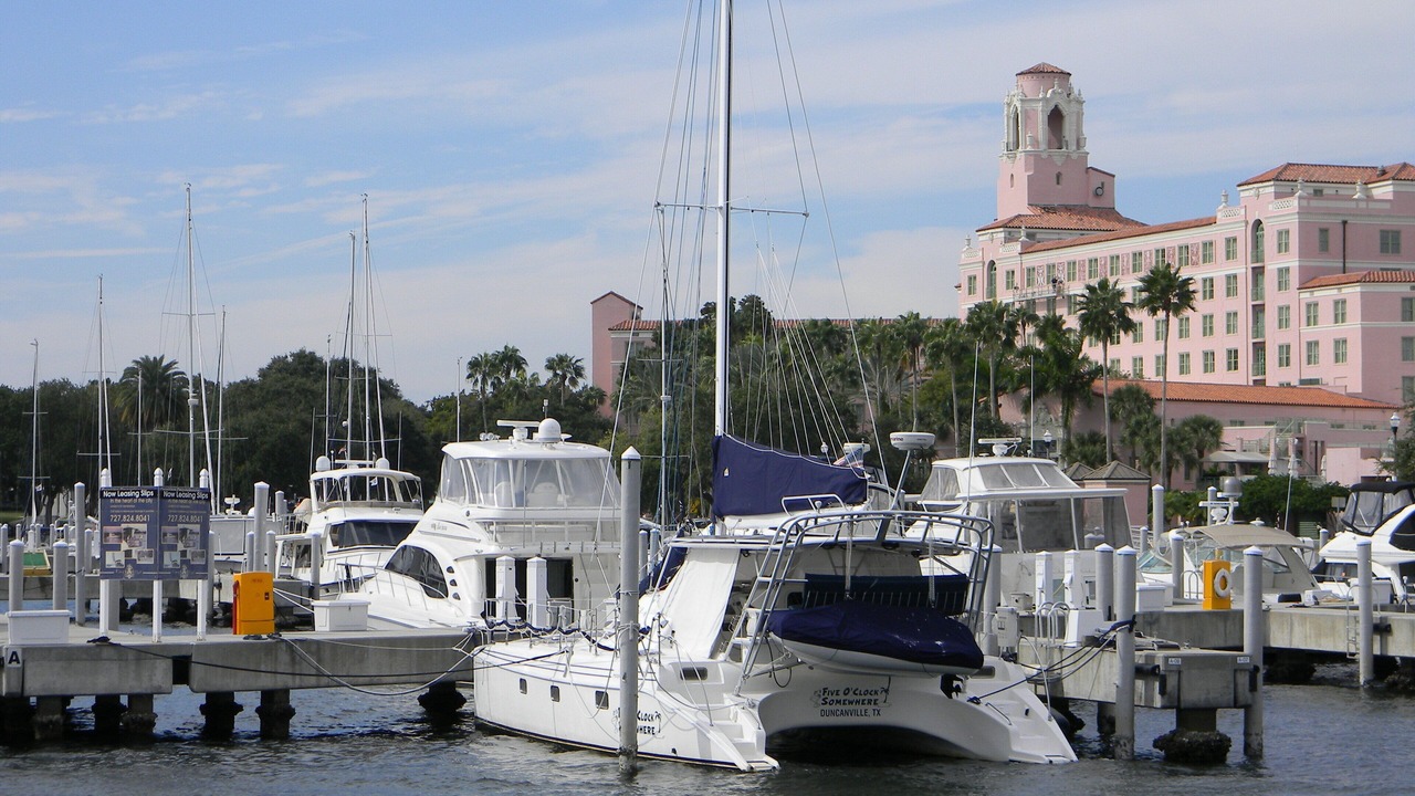 Photo of Others in St. Petersburg