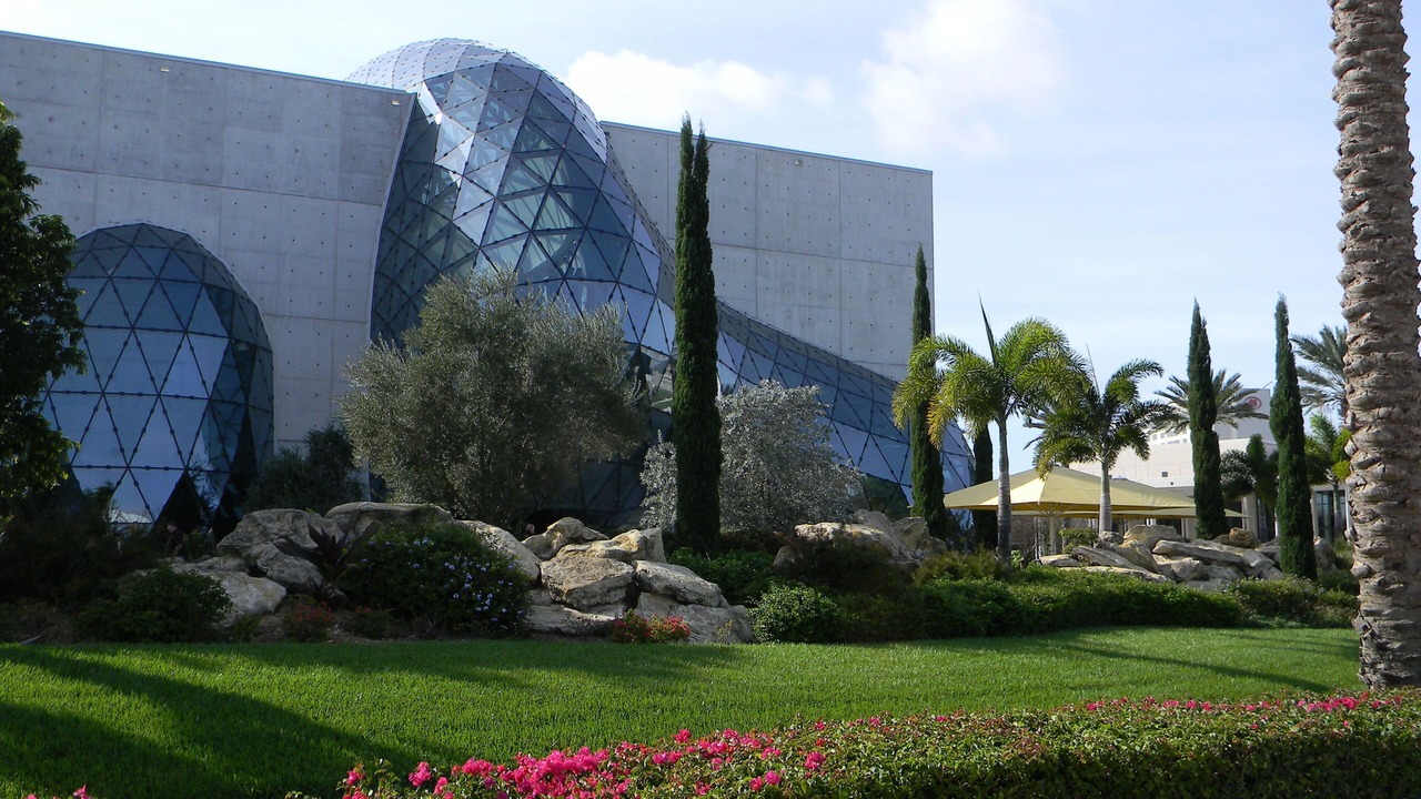 Photo of Others in St. Petersburg