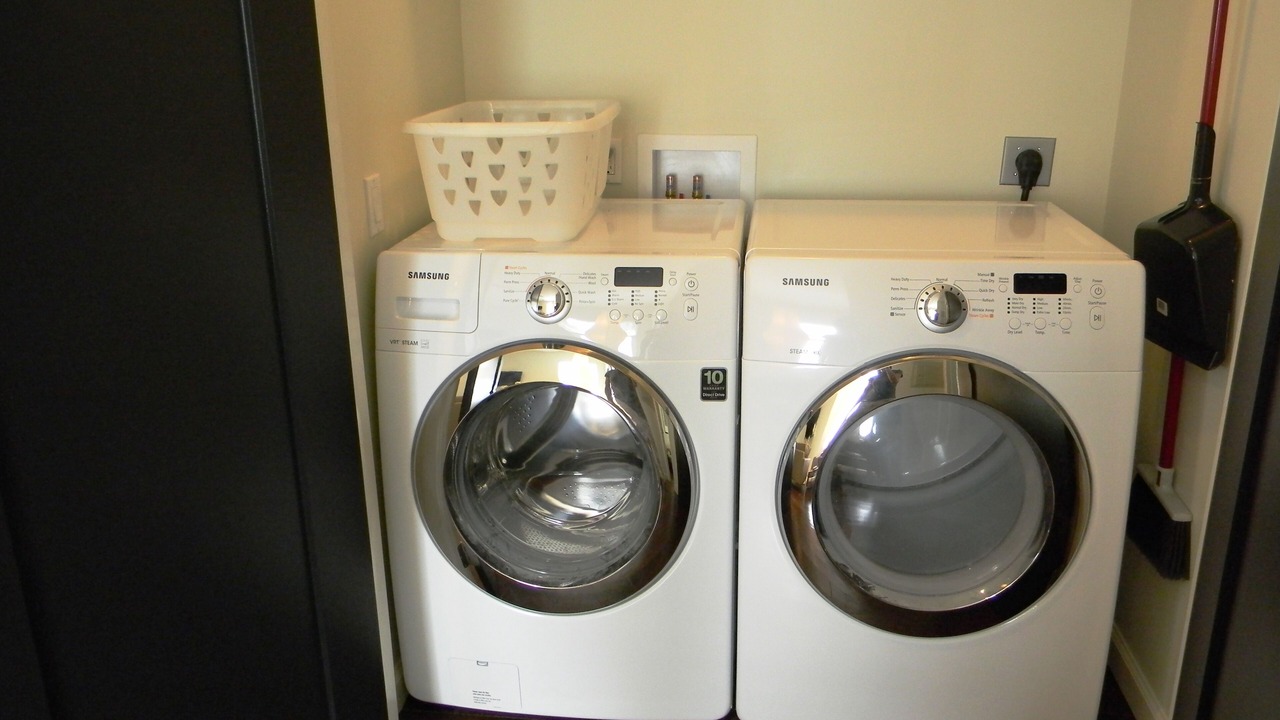 Photo of Others in St. Petersburg