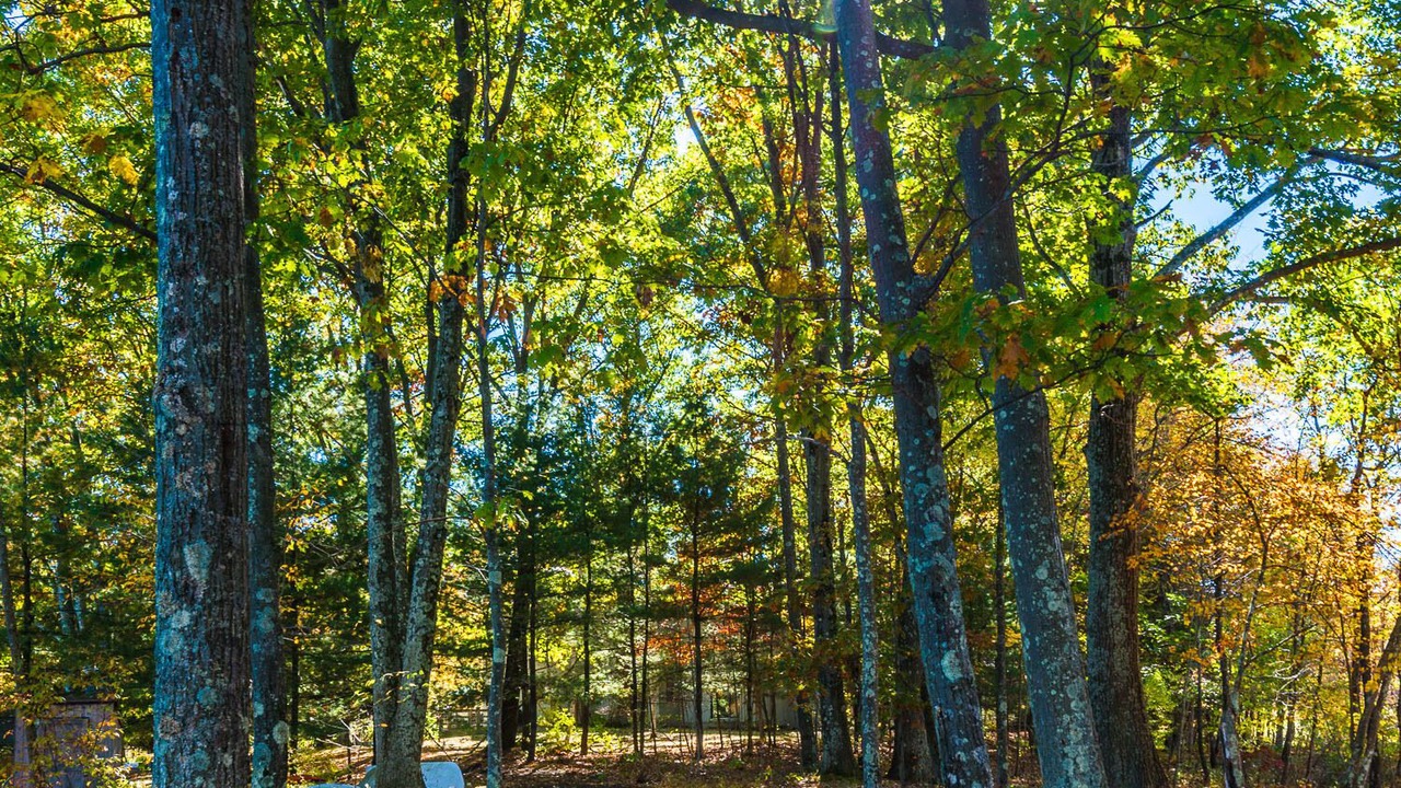Photo of Outdoor in Town of Copake