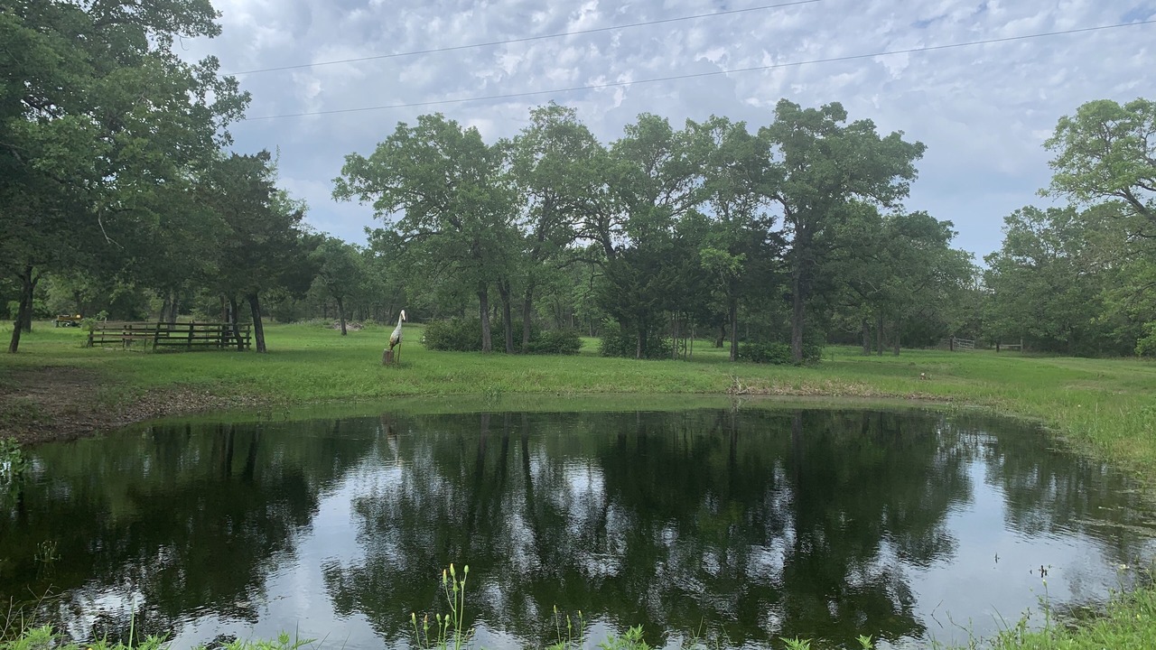 Photo of Others in Smithville