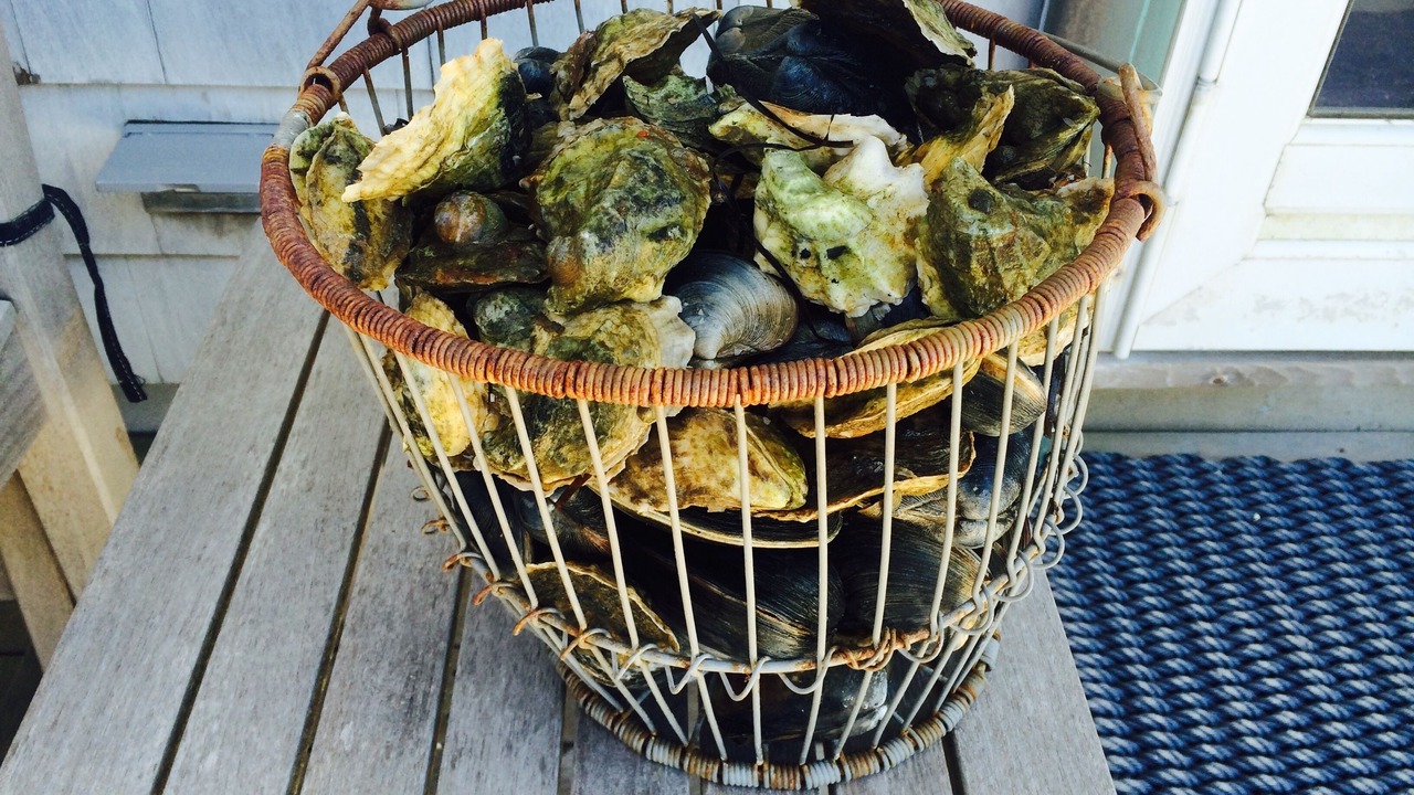 Photo of Others in Napeague