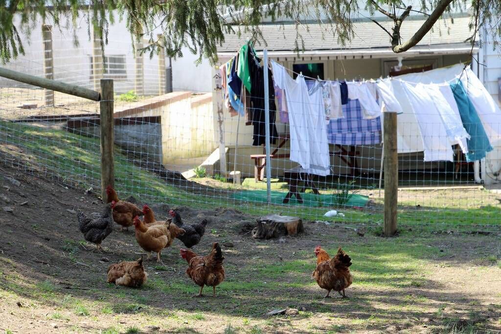 Photo of Others in Ronks