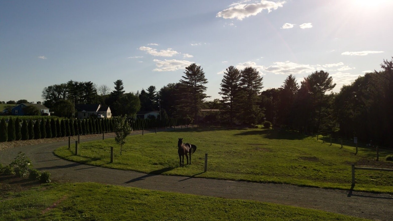 Photo of Others in Ronks