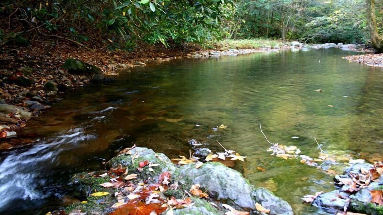 Photo of Others in Del Rio