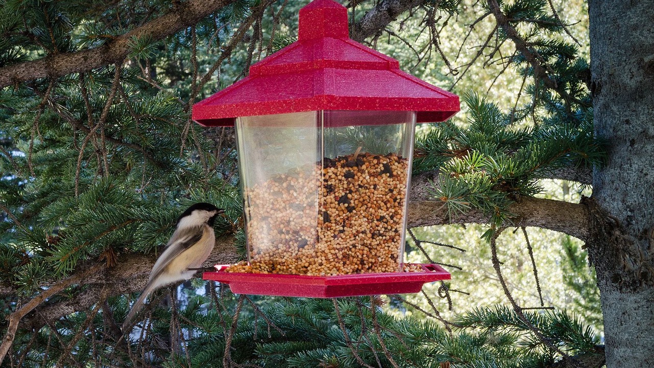 Photo of Outdoor in Saint Mary's