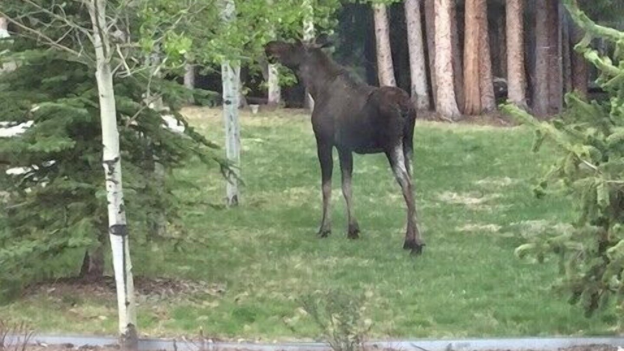 Photo of Others in Keystone