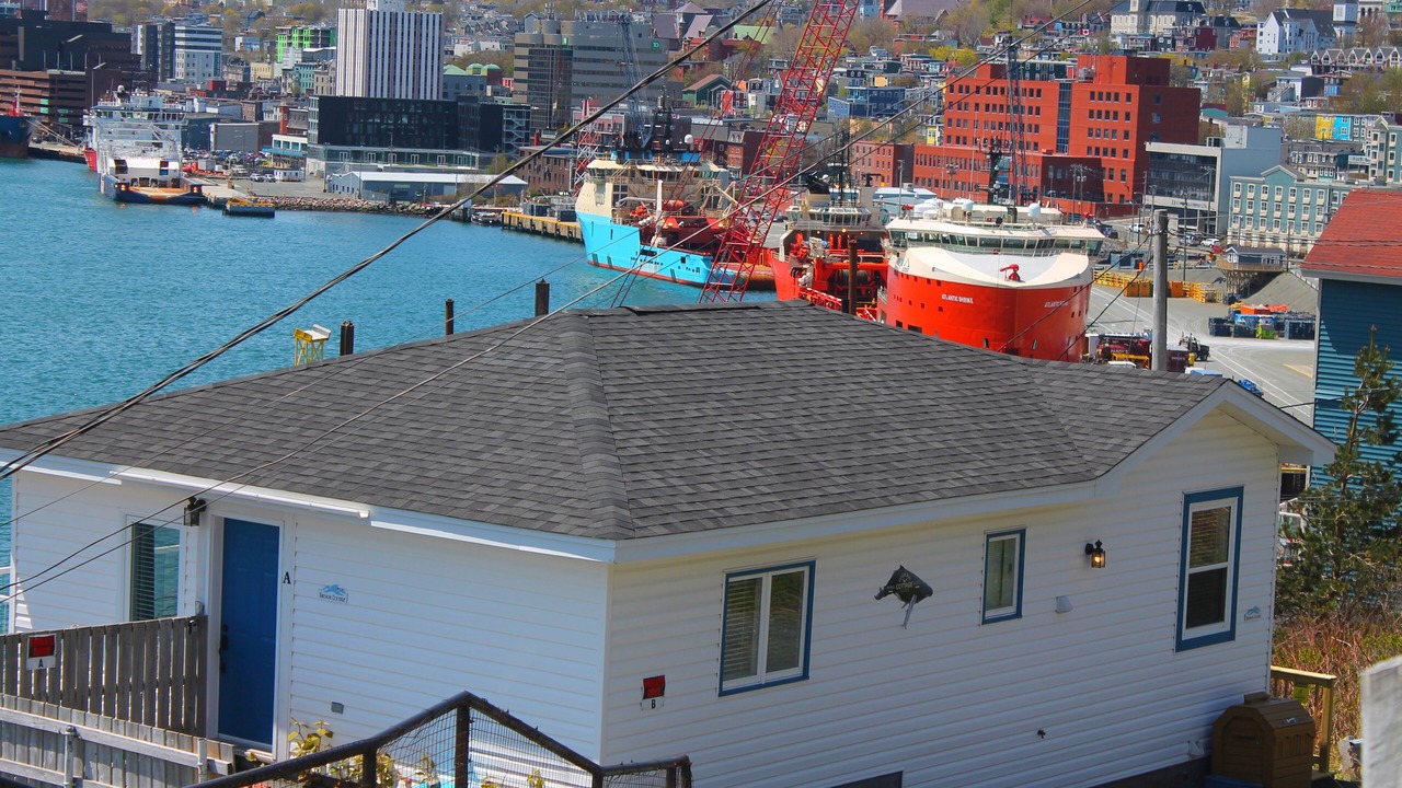 Photo of Others in Downtown St. John's