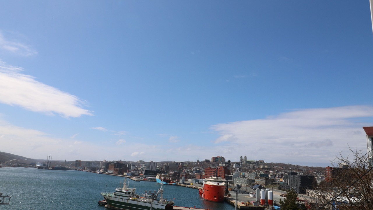 Photo of Others in Downtown St. John's