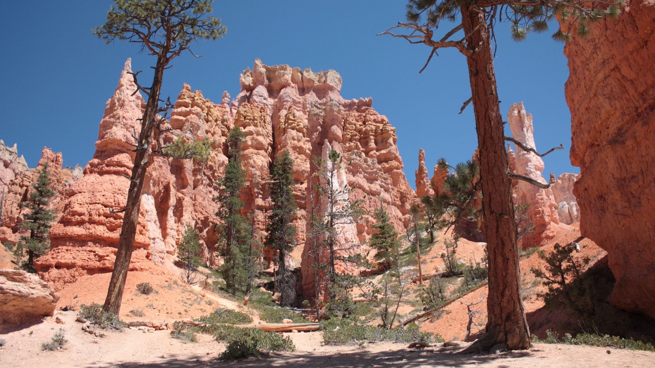 Photo of Others in Kanab
