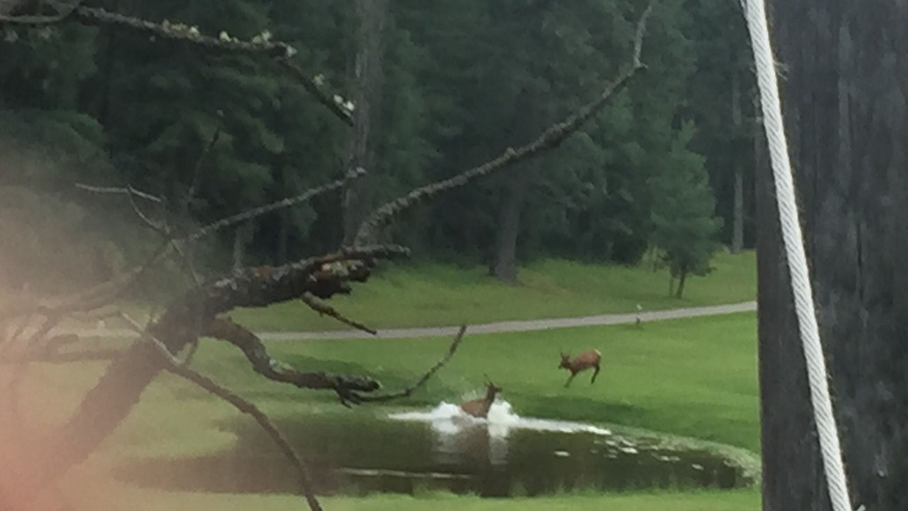 Photo of Others in Cloudcroft