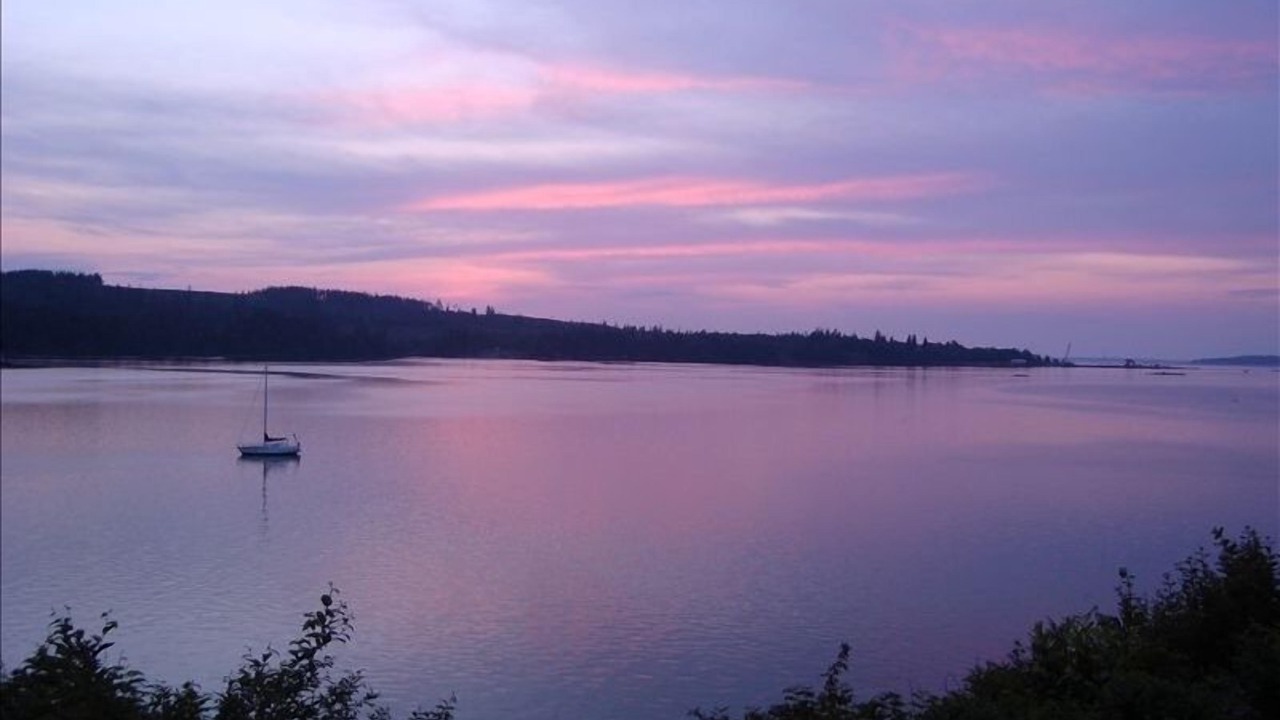 Photo of Others in Kingston