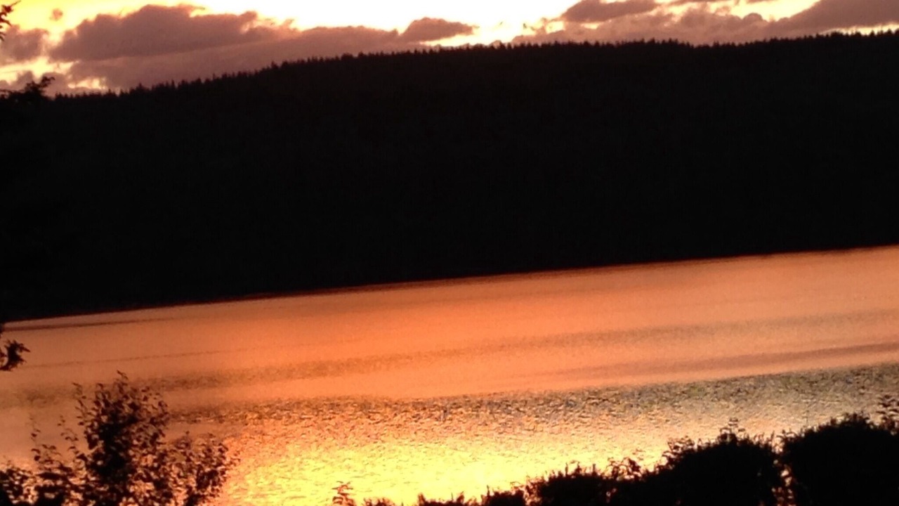 Photo of Others in Kingston