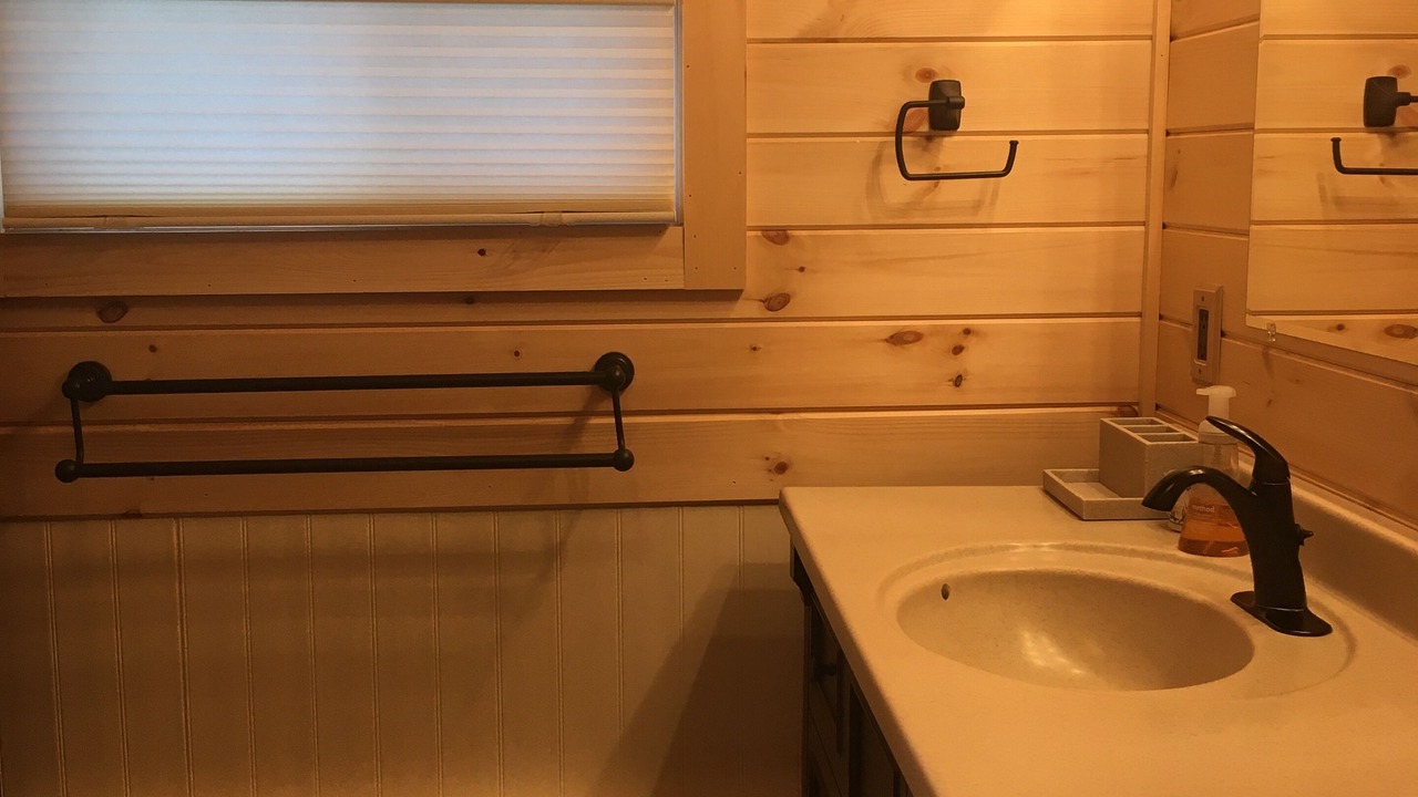 Photo of Bathroom in Alburg