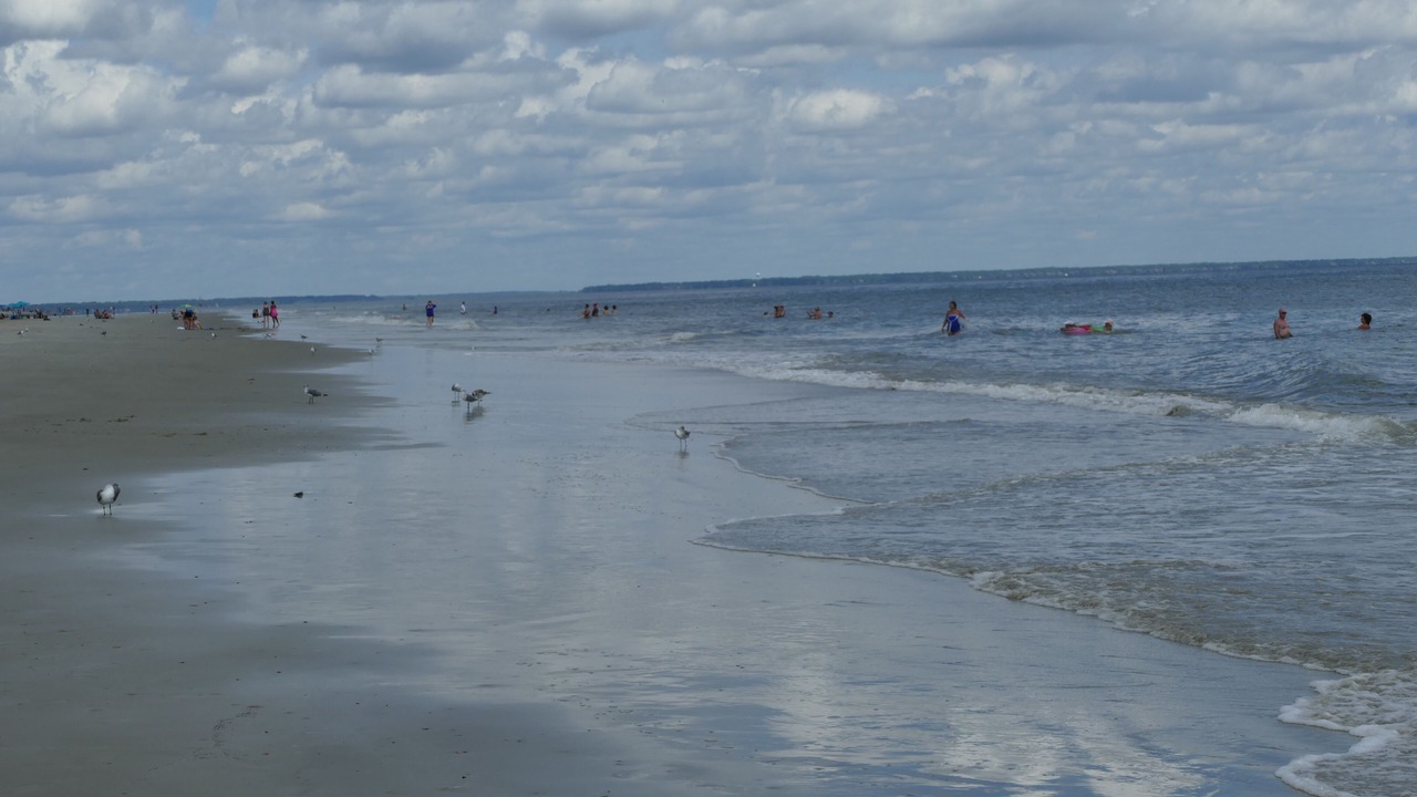 Photo of Others in Tybee Island