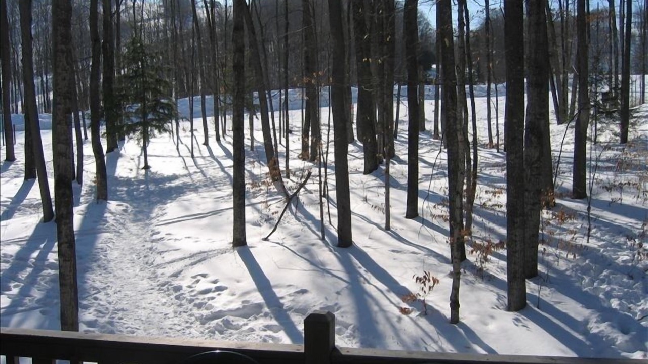 Photo of Others in Boyne Falls