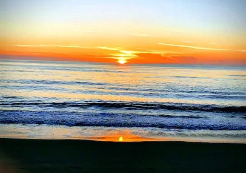 Photo of Others in Northeast Virginia Beach