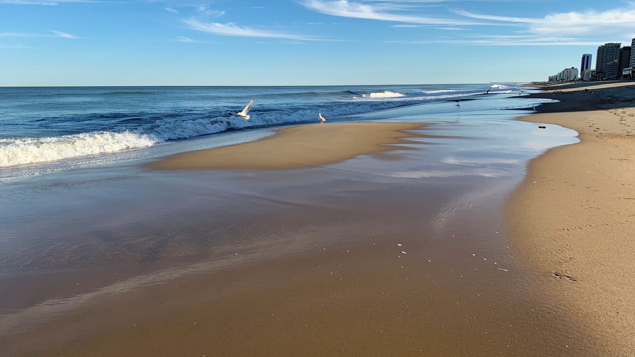 Photo of Others in Northeast Virginia Beach