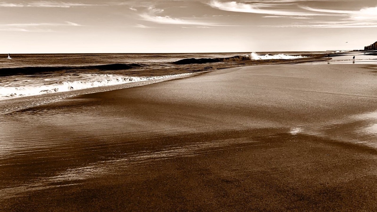 Photo of Others in Northeast Virginia Beach
