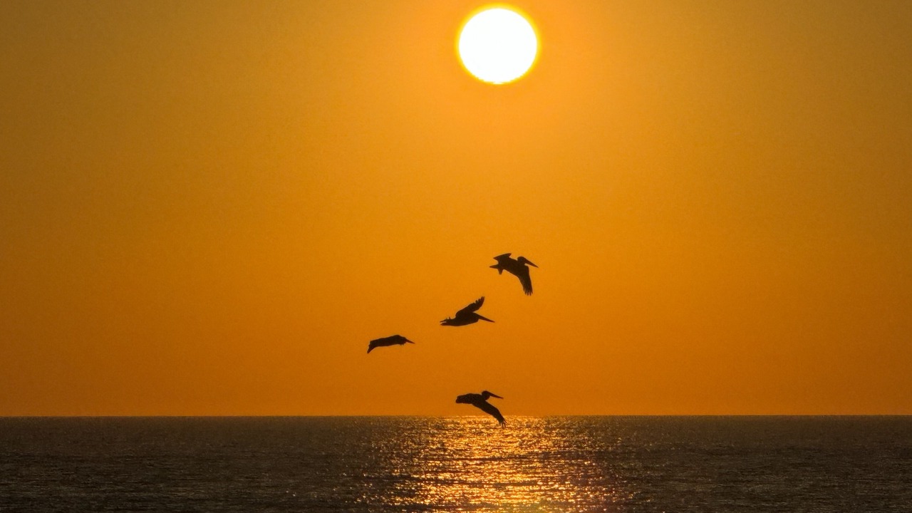 Photo of Others in Northeast Virginia Beach