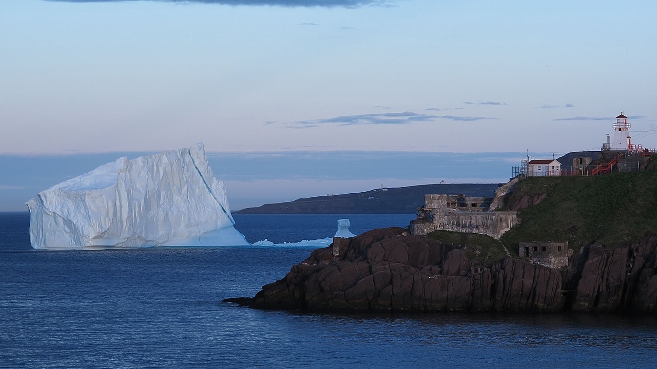 Photo of Others in St. John's
