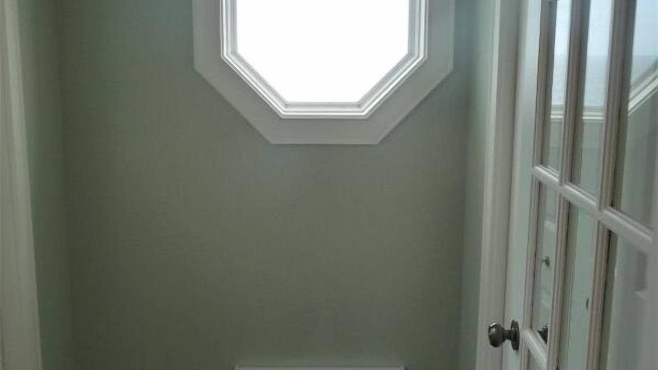 Photo of Others in St. John's