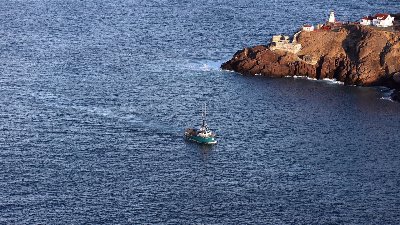 Photo of Others in St. John's