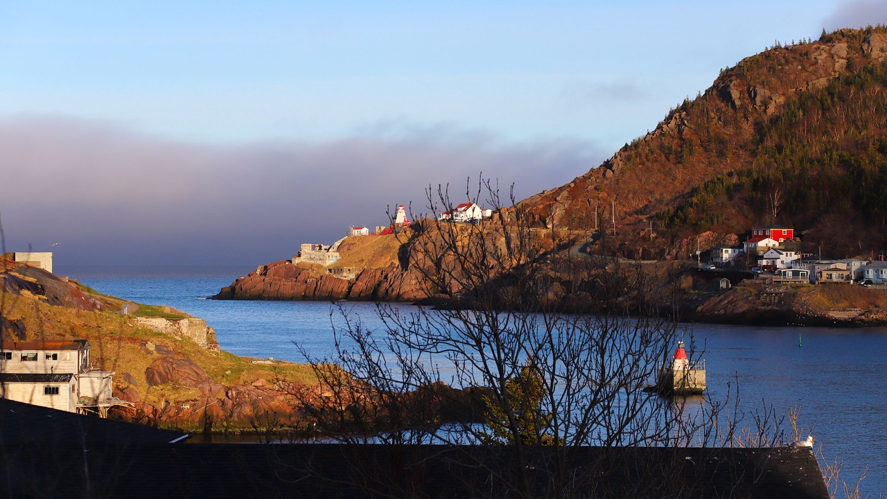 Photo of Others in St. John's